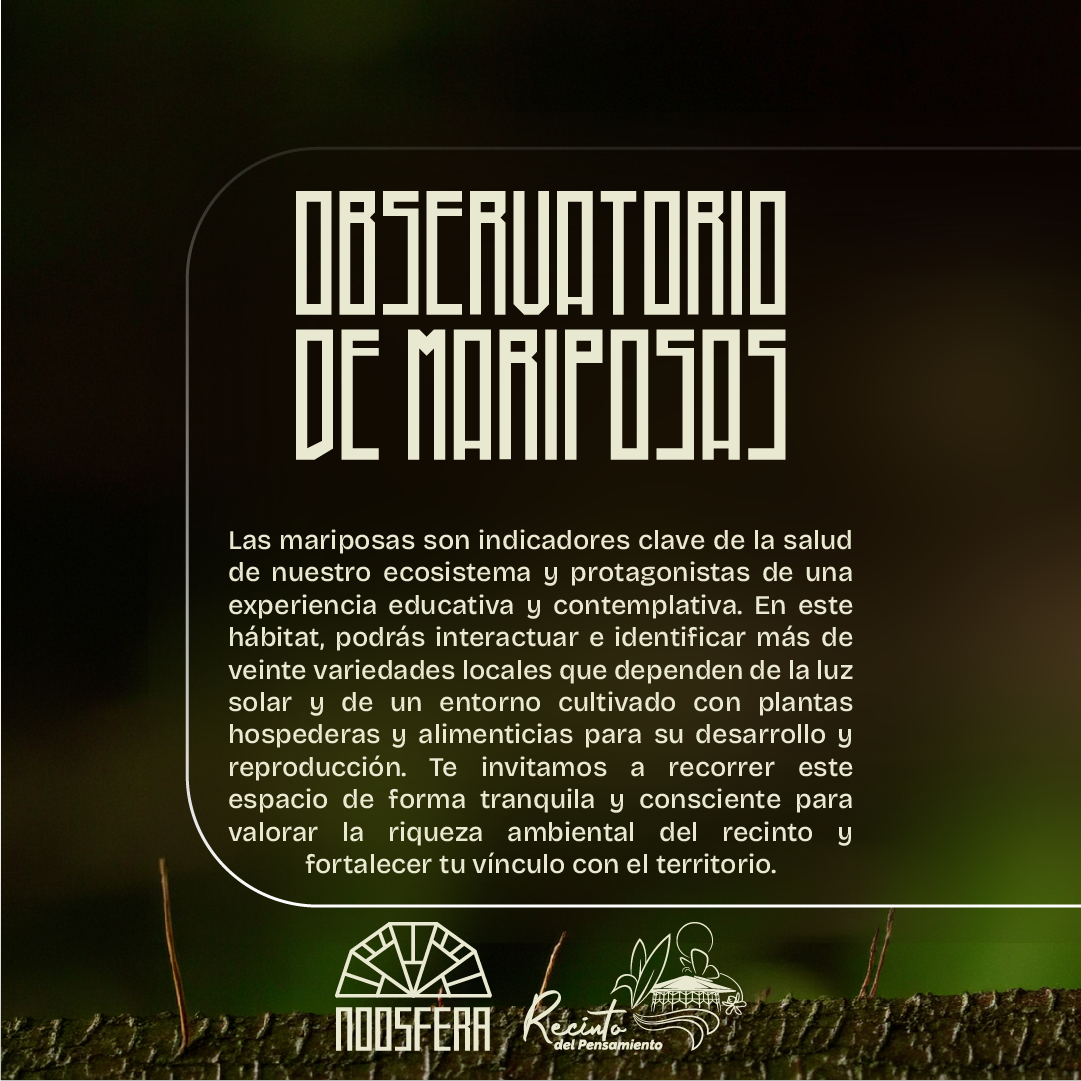 Post redes 5